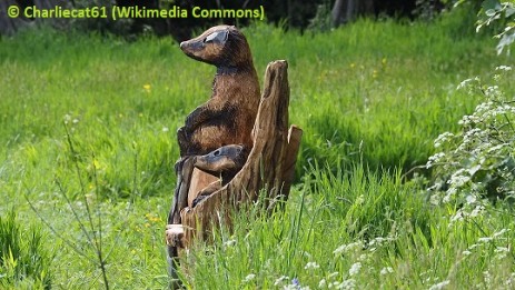 One of Little Chalfont Nature Park's carved benches next 