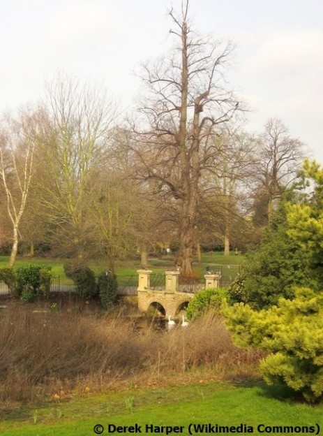 Bridge, Ravenscourt Park