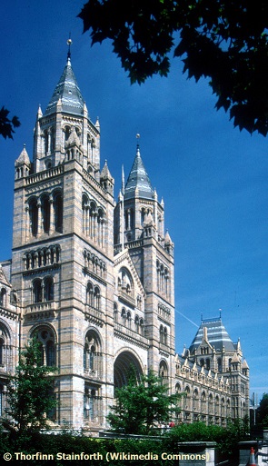 British Natural History Museum in London.