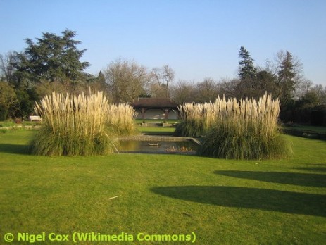 Canons Park: The George V Memorial Garden 