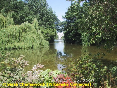 Head of lake in St James's Park