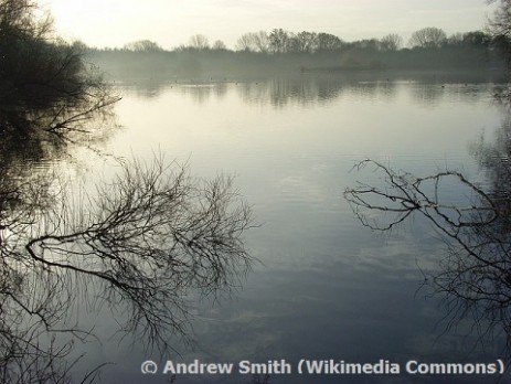 Loddon Nature Reserve, Twyford