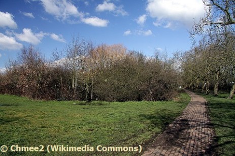 Local Nature Reserve Martin Bell's Wood in Wormwood Scrubs Park