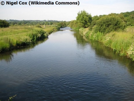 River Gade through Croxley Common Moor 