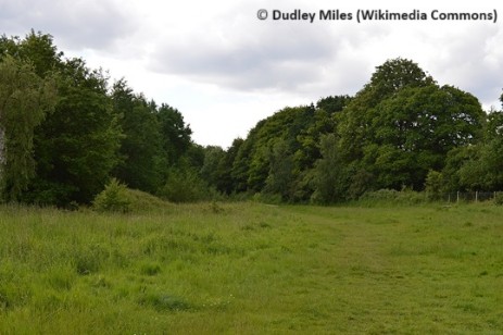 Ruislip Woods in Hillingdon, London